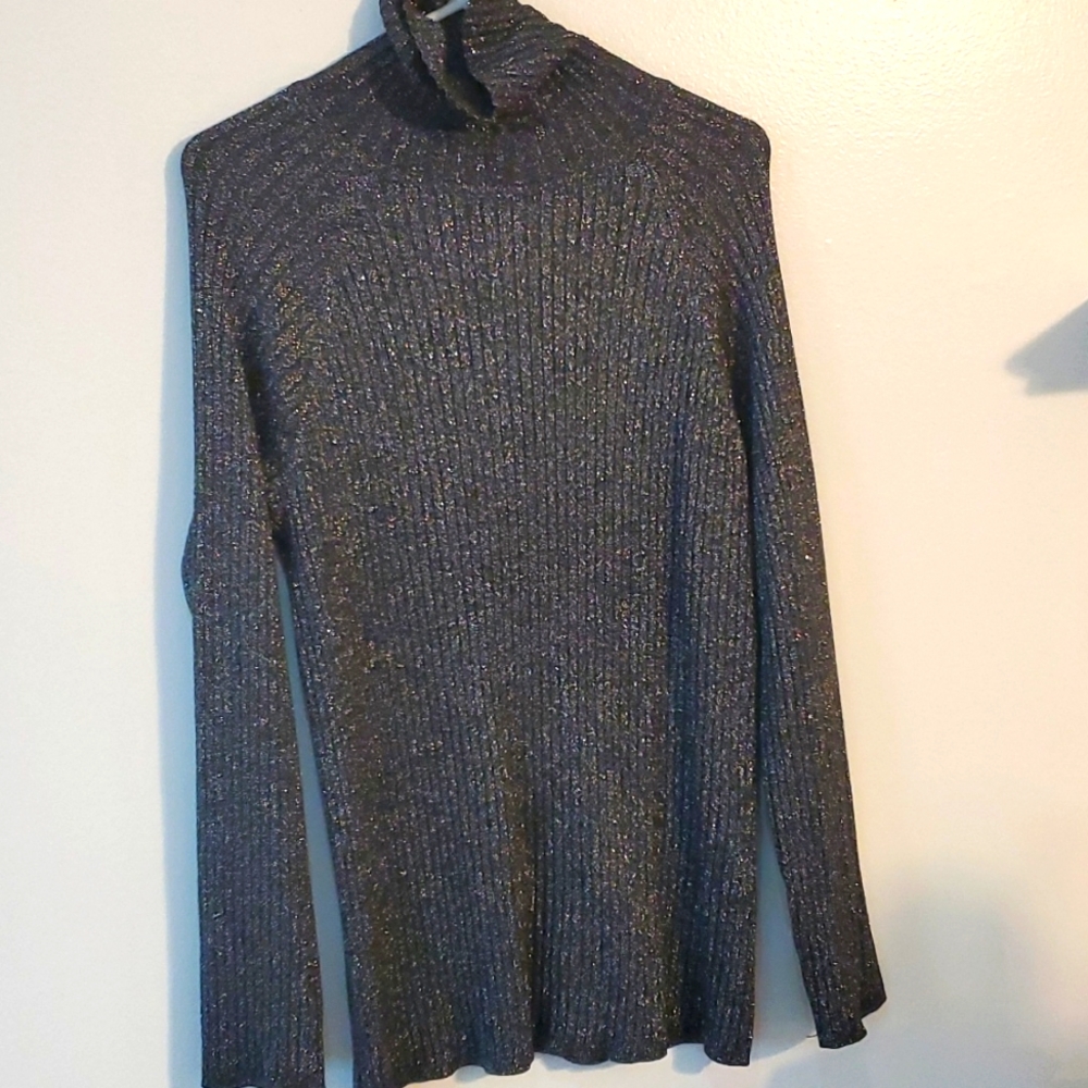 INC International Concepts metallic silver turtle neck tip 2x